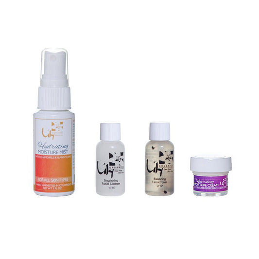 Travel Size Skin Care Kit - Skin Tone Beauty Products